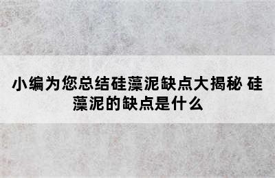 小编为您总结硅藻泥缺点大揭秘 硅藻泥的缺点是什么